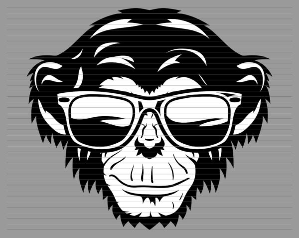 d23 - monkey face